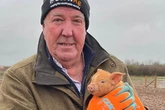 Clarkson's Farm guests warned it's 'not what you think' as fans make big mistake