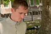 Man who sexually abused horses straddles animal and says 'this boy's looking for a friend'
