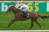 Harry’s Girl horse dies in Royal Ascot horror fall after fans demand ITV update