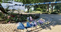LiveChalkwell Park tree LIVE: Six-year-old child still fighting for life after girl, 7, crushed