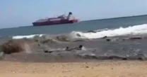 Horror moment 'tsunami wave' smashes into beach as injured people scream in terror