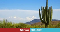 opinion‘I went to Arizona expecting a week of wellness but this activity made my heart race’
