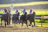 'Scorch to victory' - Monday's racing best bet of the day will be too hot for his rivals