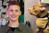 Freddy Brazier's deadline to save pet dog from being put down after brutal double attack