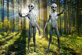 Humans created by 'ancient alien race' which is why we're 'so different from rest of world'