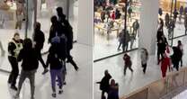 Terrified families flee as masked youths raid Apple store at busy shopping centre