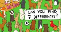 Brits struggle to spot 7 differences but there's one obvious answer