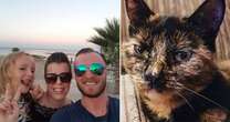 Dad left mortified after discovering he had spent £180 cremating someone else's cat