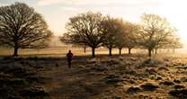 UK weather: Temperatures to soar into double digits in Met Office forecast after bitter Arctic blast