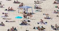 Australian PM wades into debate as new form of beach hogging grips nation