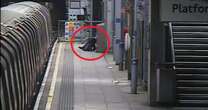 Unseen passenger run over by four Tube trains after falling onto the tracks