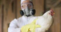 Bird flu symptoms in humans as US reports first-ever death