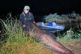 Record-breaking 8ft fish reeled in by husband and wife so big it ruined a Chinese meal