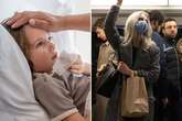 Ultimate 10-step 'quad-demic' survival guide as fears of 'mystery virus' spike