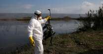 Global pandemic fears over 'new bird flu strain' after first human death in US