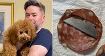 Couple find razor blades inside meat left in garden 'intended to kill their dog'