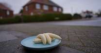 Locals baffled as prankster leaves plate of peeled bananas on street every month for a YEAR