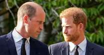 Prince William 'broke royal brother's pact' leaving Harry heartbroken in its wake