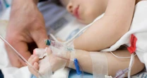 Bird flu: Two-year-old girl hospitalised after family holiday leaving doctors baffled