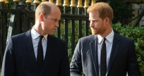 Prince Harry makes huge announcement on awkward diary clash with estranged William
