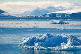 Skull fragment found on beach could rewrite history of Antarctic exploration