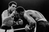 Heavyweight Legends special edition is on sale now