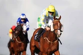 'He can win for the sixth time at Brighton – Jason Heavey's Tuesday tips