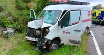 Brit businessman died in front of daughter in horror van smash