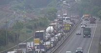 LiveA55 crash LIVE: Traffic chaos after collision with 'cows overturned' on road