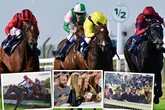 Free autumn horse racing tickets to give away with Arena Racing Company