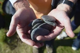Stone-skimming rocked by cheating scandal as players grind down pebbles at tournament