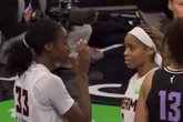 Sex toy causes chaos at WNBA match as shocked players suddenly told to stop playing