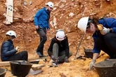 850,000-year-old neck bone proves ancient human relative cannibalised toddlers