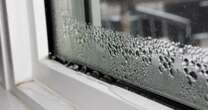 Why you get condensation on windows every morning - and easy ways to stop it