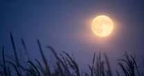 What is the Harvest Moon? Brits urged to keep their eyes on the sky for ultra-bright supermoonLunar eclipse