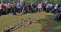 Crocodile named after Bin Laden terrorises village where it has eaten 80 locals