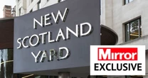 Met Police officer arrested for alleged grope of junior colleague in pub garden