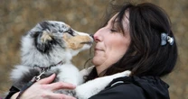 Simple tell-tale signs show if your dog actually loves you – or if it's fake