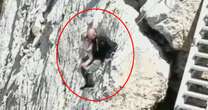 Nail-biting moment parents holding baby edge along narrow mountain ridge with 9,000ft drop