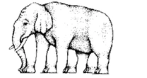 Only those with high IQ can work out how many legs elephant has in fiendish optical illusionOptical illusions