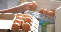 Urgent warning about how you store eggs - could be making you seriously ill