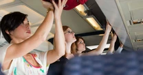 Surprising fruit you're banned from taking on a flight is seemingly innocent
