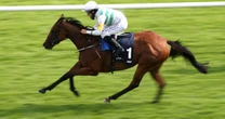 Winner Alizarine disqualified at Galway "as horse could not be positively identified"