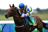 Legendary racehorse Trueshan suffers fatal injury at Glorious Goodwood