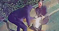 Bungling arsonist sets himself on fire as he tries to torch building
