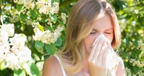 Hay fever symptoms, how can it be treated – and how to tell it apart from Covid-19