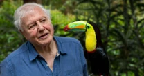 David Attenborough issues stark warning to G7 leaders of danger to 'entire planet'