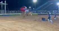 Shock moment rodeo presenter is trampled by bull after failing to get out of way