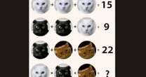 Only people with logical minds can solve this baffling cat brainteaser