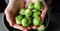 Christmas dinner superfood is one of 'world's most nutritious' veggies